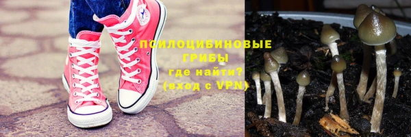 амф Арсеньев